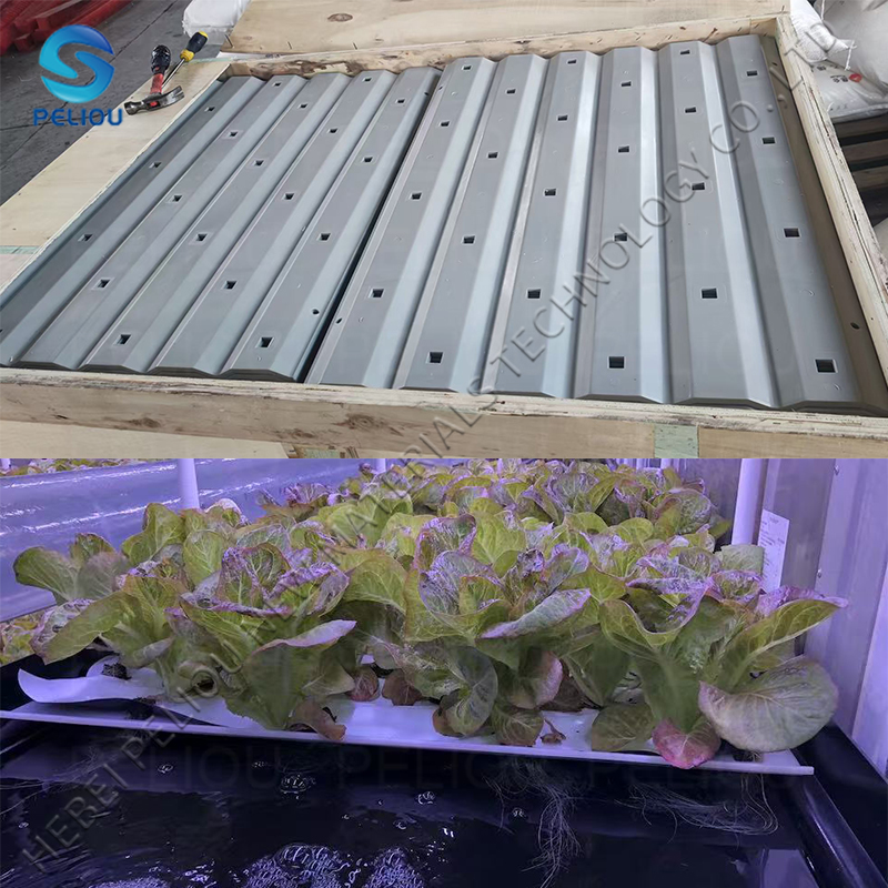 HDPE Hydroponic Farm Grow Trays